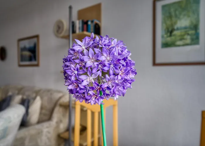 - Haus E, App 0e1205 * Heiligenhafen